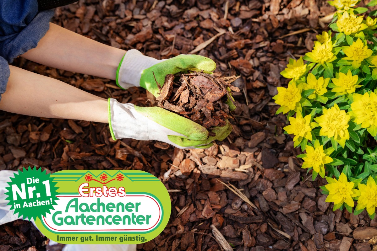 Die N�chte werden langsam kalt: Zwei S�cke Rindenmulch als Frost- und K�lteschutz!