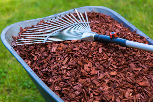 OecherDeal prsentiert das Erste Aachener Gartencenter