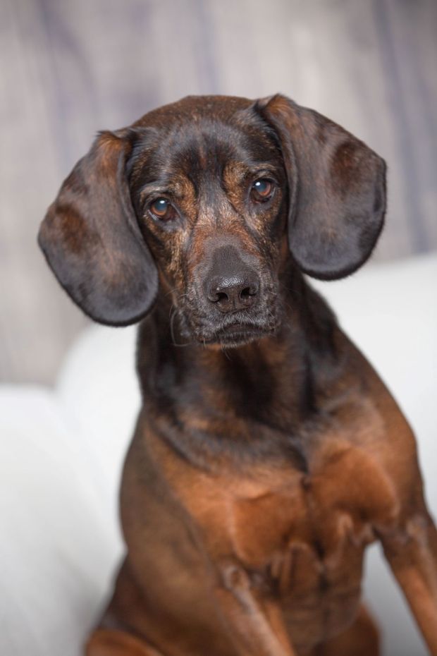 OecherDeal pr�sentiert Frank Kind Photography