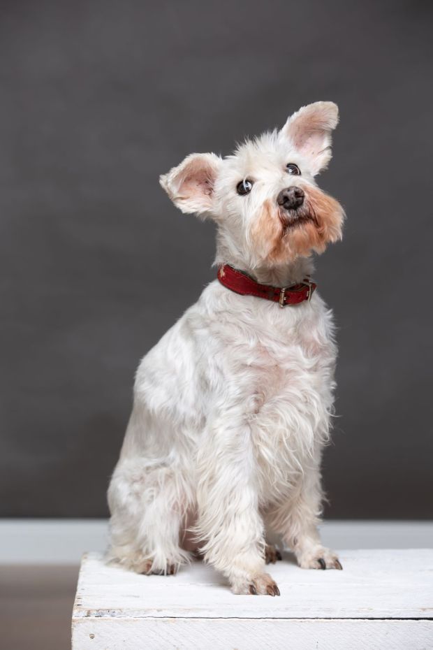 OecherDeal pr�sentiert Frank Kind Photography