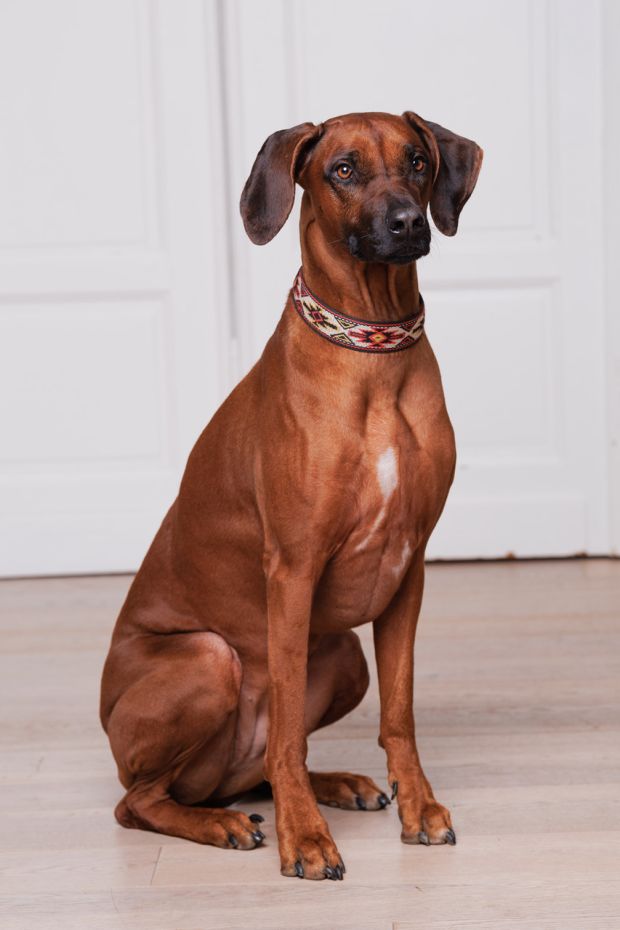 OecherDeal pr�sentiert Frank Kind Photography