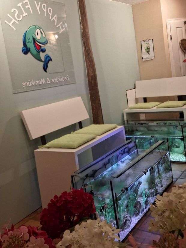 OecherDeal pr�sentiert Happy Fish Monschau