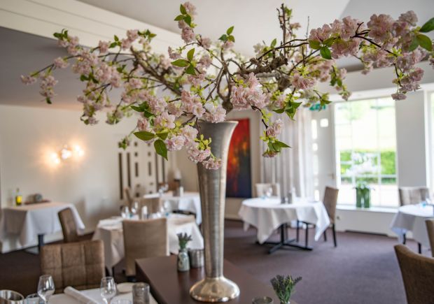 OecherDeal pr�sentiert infini