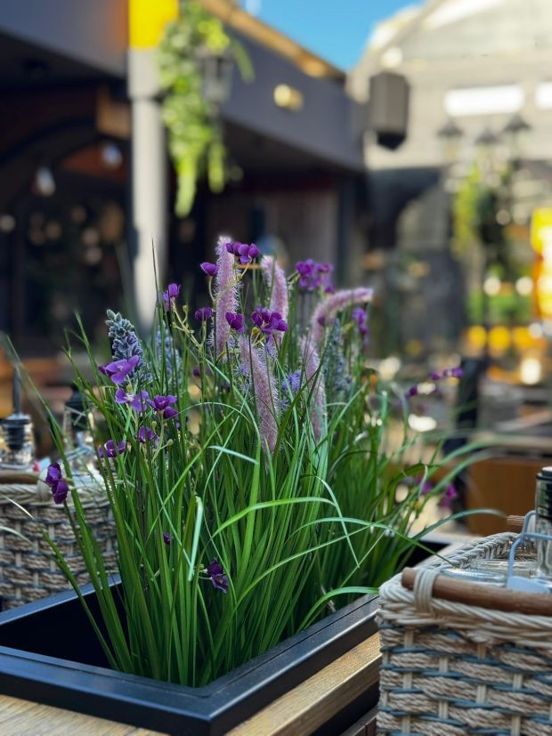 OecherDeal pr�sentiert pontgarten